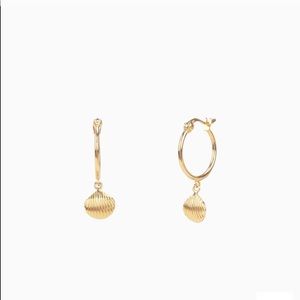 Striped Shell Earrings Mejuri, sold out online